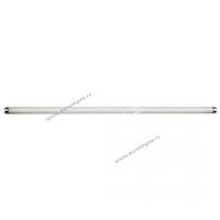 FLUO CEV T8 10W BB L=34,5 cm